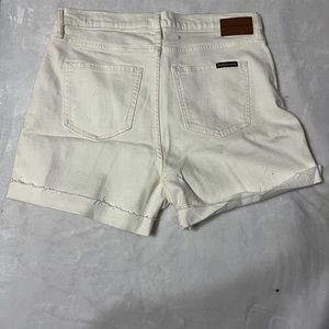 Calvin Klein Shorts / US Size 8/29